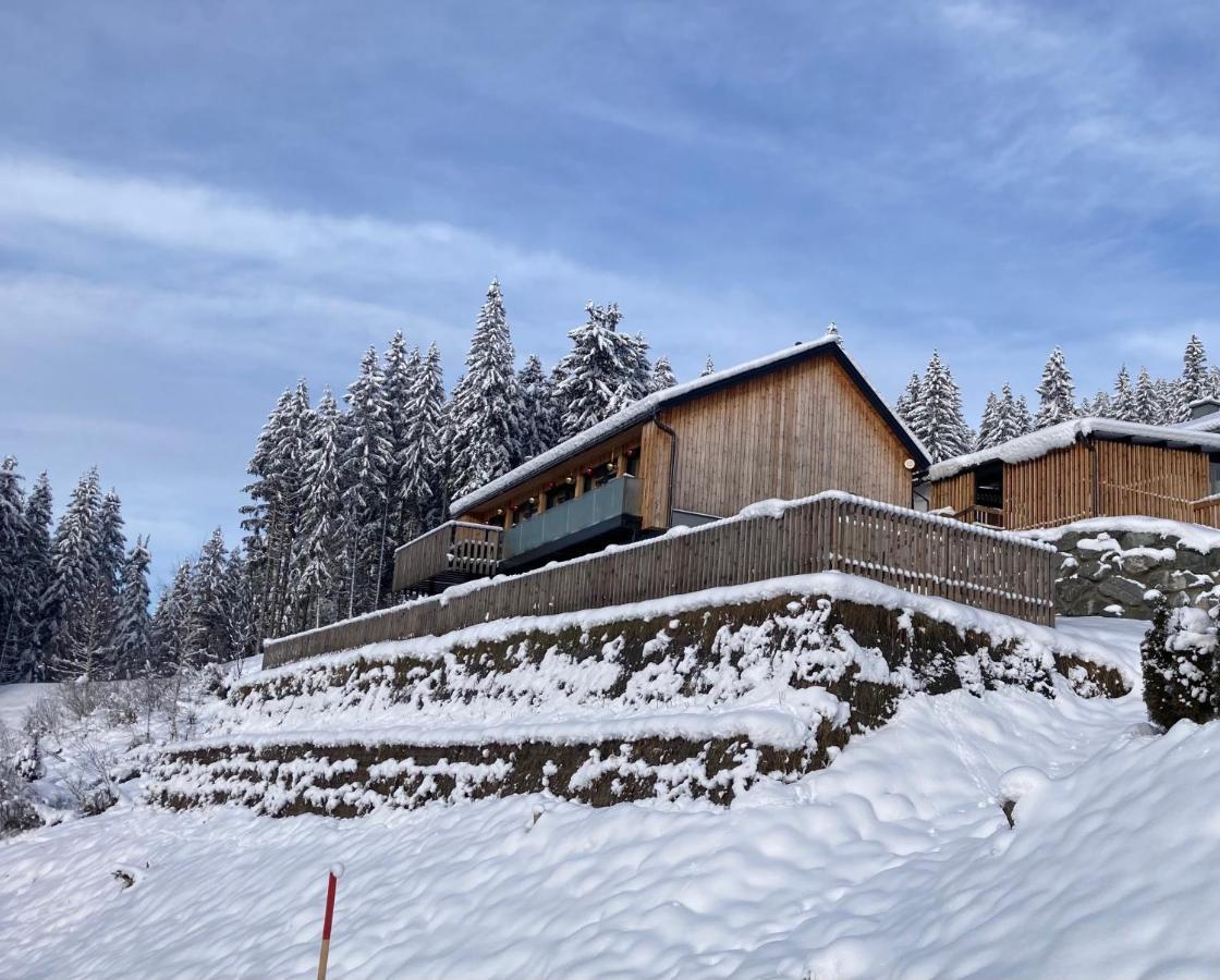 B-Lodge Kaernten Kirchbach  Екстериор снимка