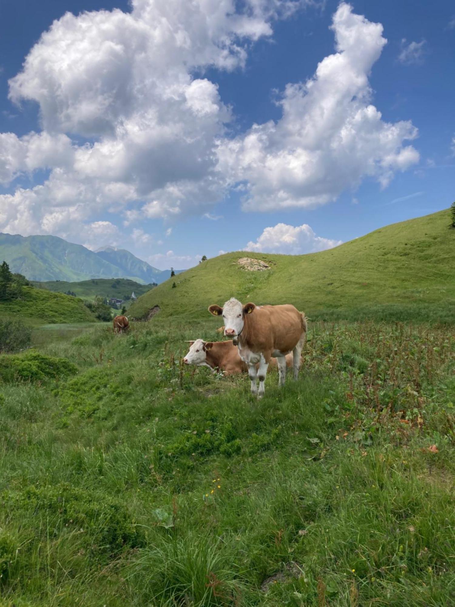 B-Lodge Kaernten Kirchbach  Екстериор снимка
