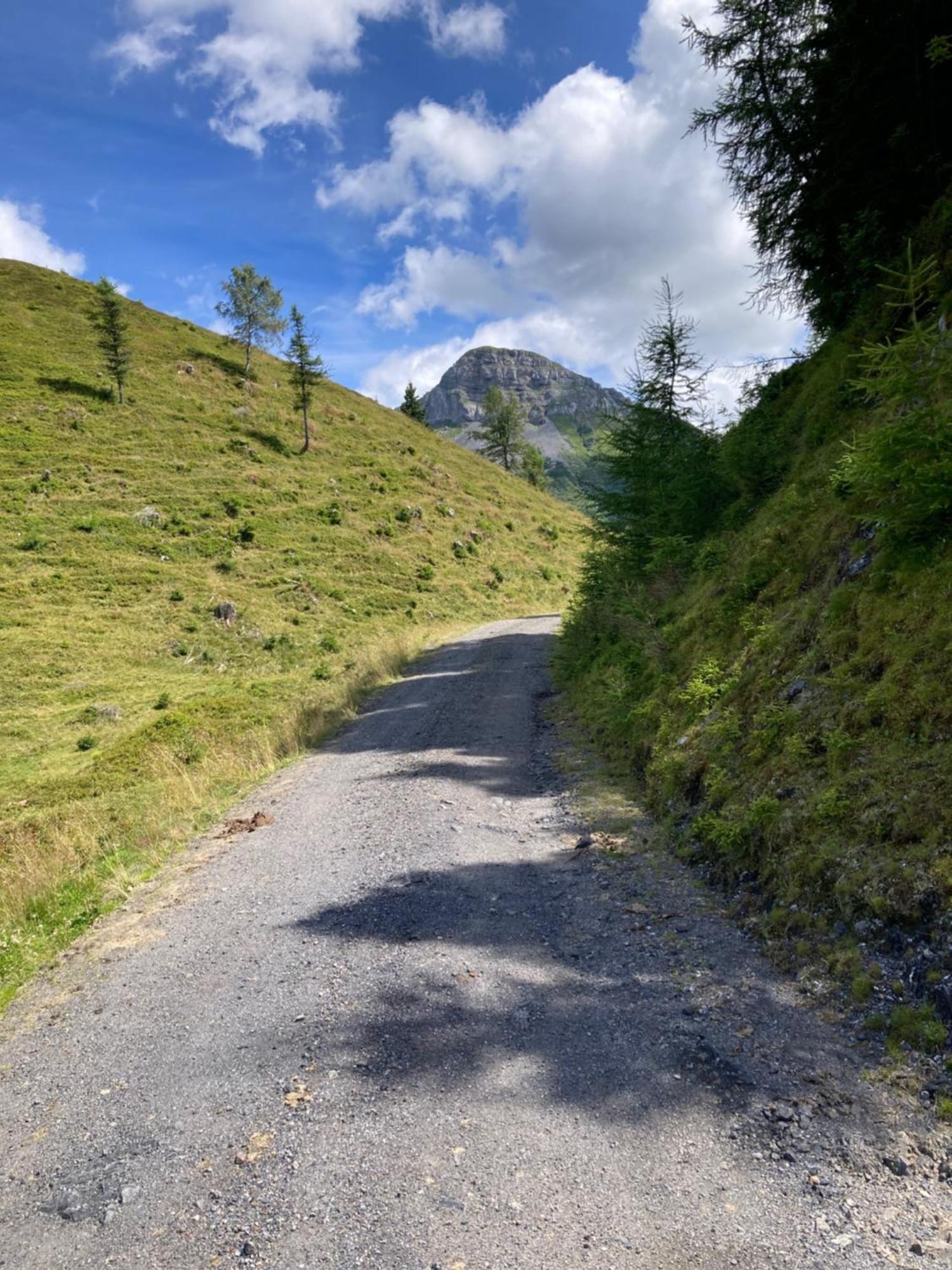 B-Lodge Kaernten Kirchbach  Екстериор снимка